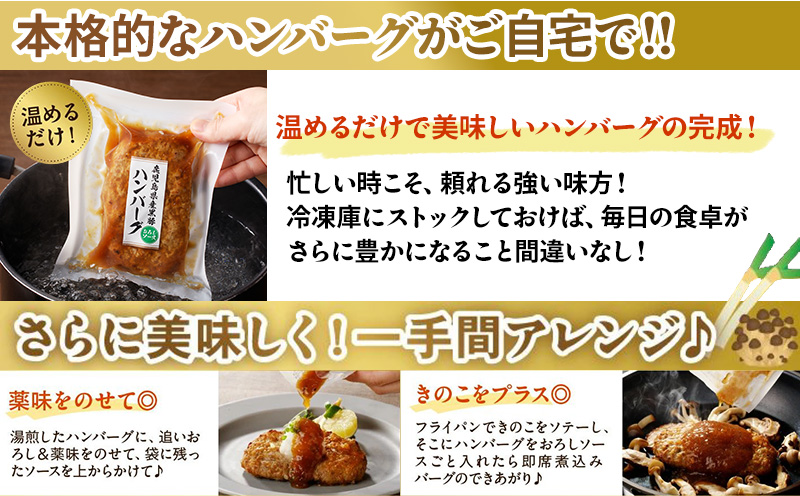 052-25 かごしま黒豚ハンバーグおろしソース10個