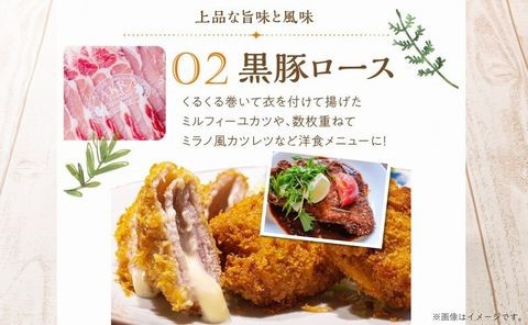 052-33 「かごしま黒豚さつま」スライス3種900gセット