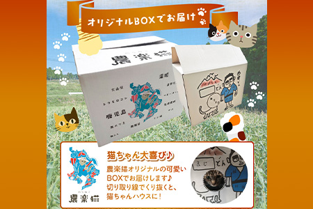 057-05 手づくりポップコーン かつおコーン6袋セット