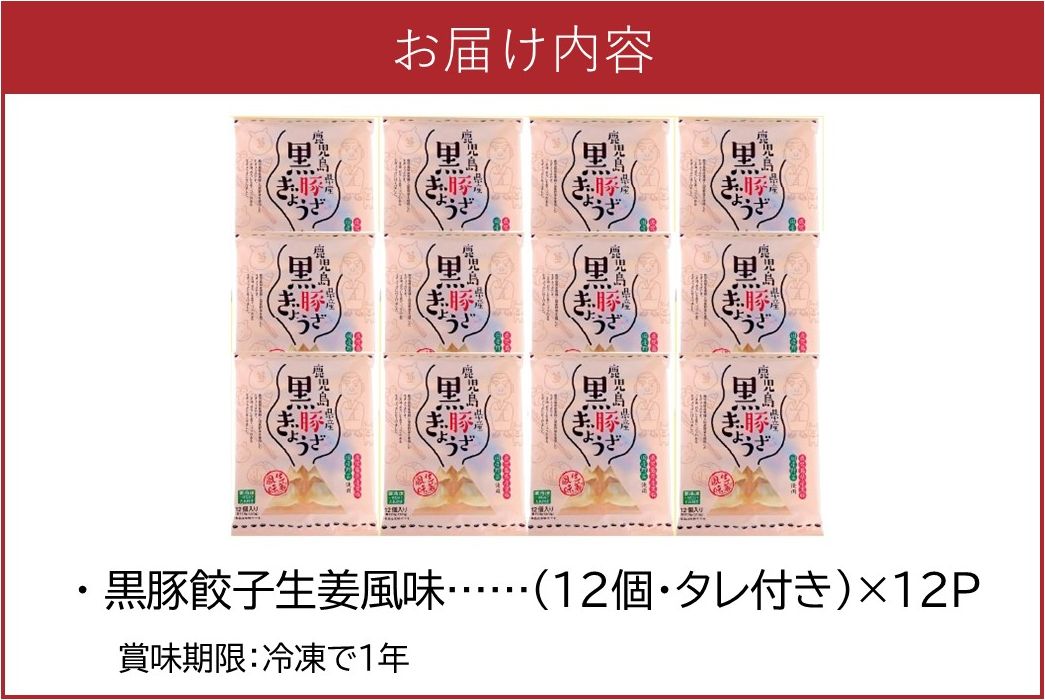 062-1-15 鹿児島黒豚餃子生姜風味12P(計144個)