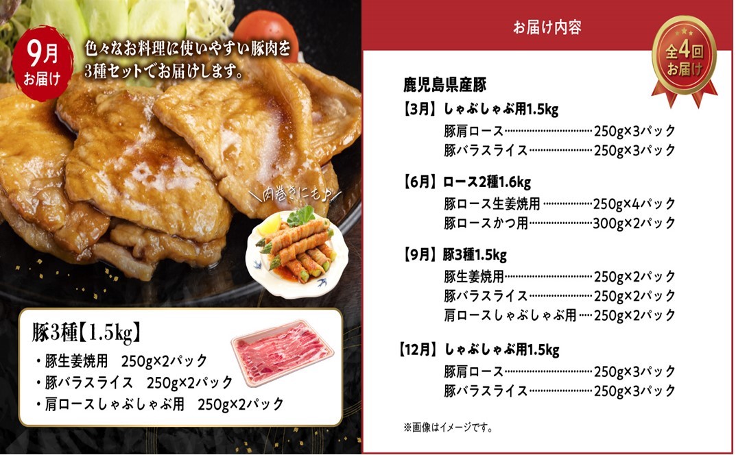 【全4回】鹿児島県産 カミチク豚 定期便 076-16