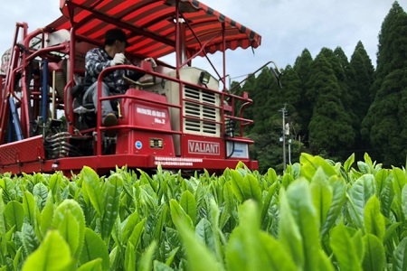078-10 お茶の芳香園 岳みどり華 5本入ギフトBOX