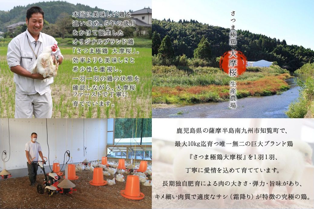 085-05-1 【お歳暮に】「さつま極鶏大摩桜」自家製炭火焼8Pセット