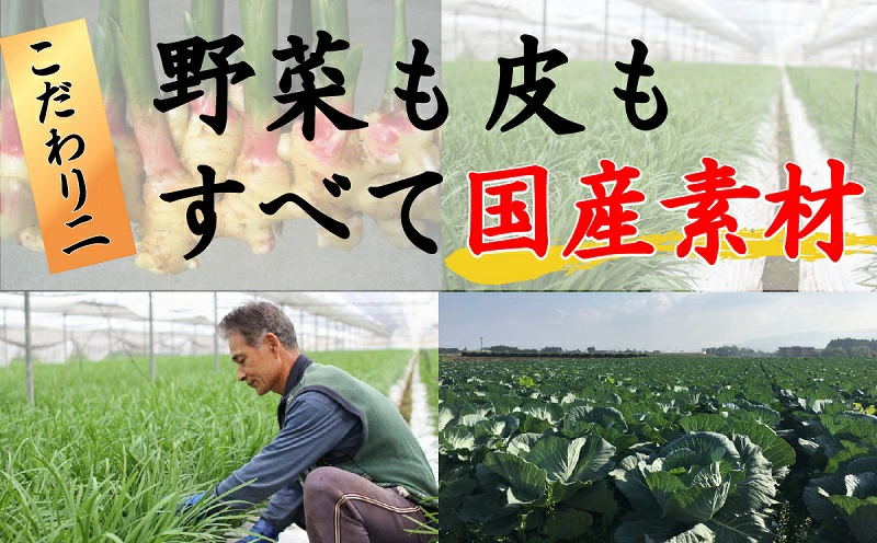 087-01 国産素材にこだわった鹿児島黒豚餃子120個