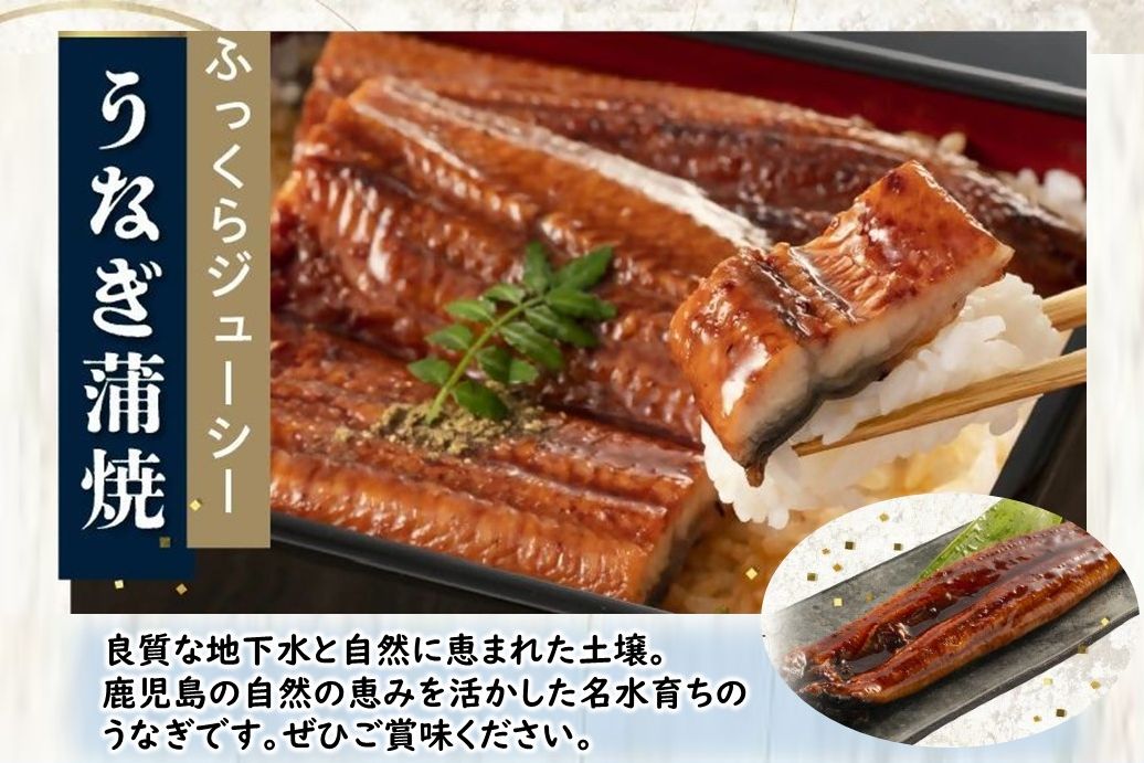 106-05 かごしま黒豚しゃぶしゃぶ用2パック・鹿児島県産ウナギ1尾のプチ贅沢セット