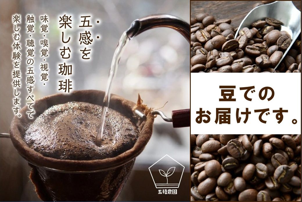 115-08 五稜珈琲100g×5ヶ国セット