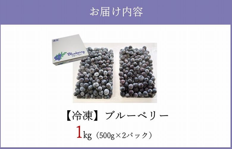 115-10 冷凍ブルーベリー1kg
