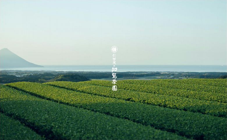 129-04 知覧茶園のオリジナルペットボトル24本入