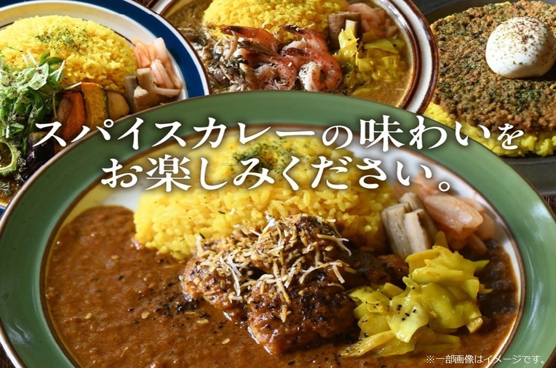 131-01 冷凍カレーソース4種5食分