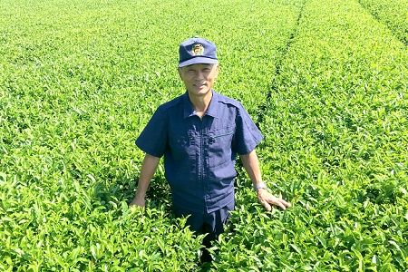 003-20 熱いお湯でも渋くならない！ご家庭用におすすめ知覧茶