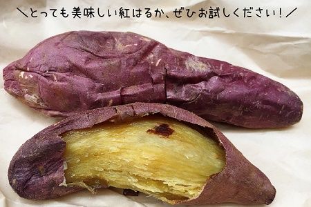 008-59 鹿児島県産紅はるか7～7.5kg