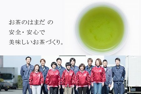 031-05 ギフトにおすすめ!知覧茶3本セット
