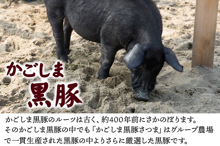 080-05 かごしま黒豚と鹿児島県産黒毛和牛山盛りセット