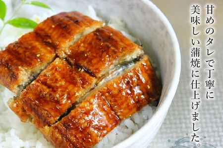 062-3-06 鹿児島県産カットうなぎ蒲焼300g以上