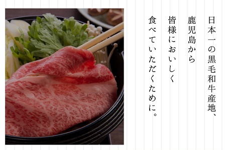 084-05 鹿児島県産黒牛×黒豚ハンバーグ9個