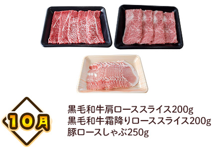 【全4回】南九州トクトク定期便ライトMK-TKL