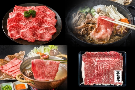 【全3回】鹿児島黒毛和牛・黒豚堪能焼き肉、スライス、ハンバーグセット定期便 084-16