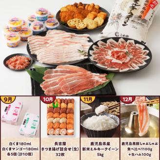 【全12回】南九州トクトク定期便 MK-TK