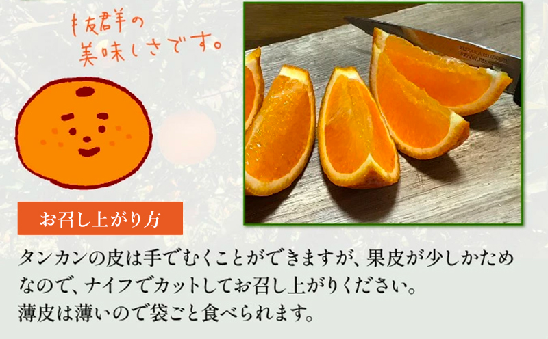 002-25 こだわりの薩摩濃密タンカン4.5kg