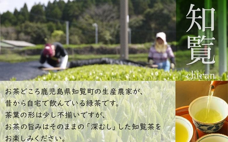 007-03 知覧茶農家が自宅で飲むこだわりのお茶8本セット