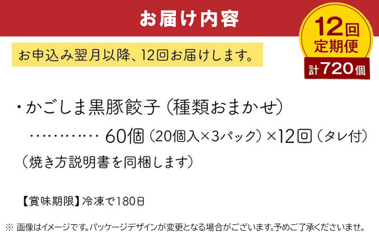 【全12回】ひぃ坊家の餃子定期便 015-20