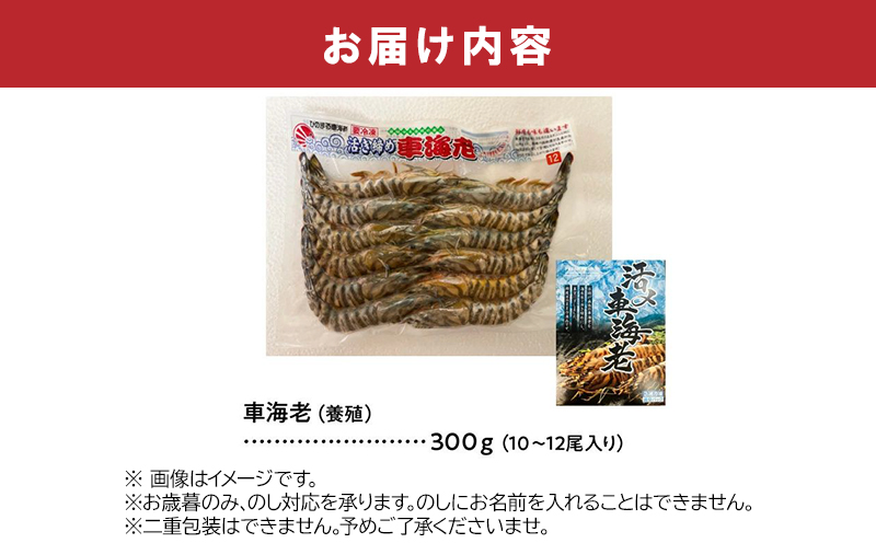 016-04 活き〆冷凍車海老LLサイズ