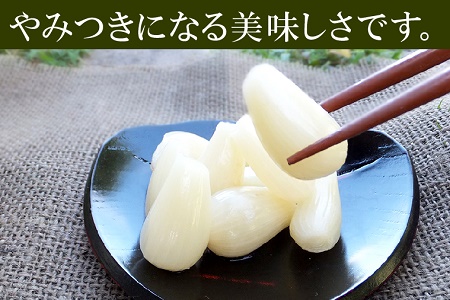 017-04 鹿児島県産砂丘らっきょう漬け大容量セット