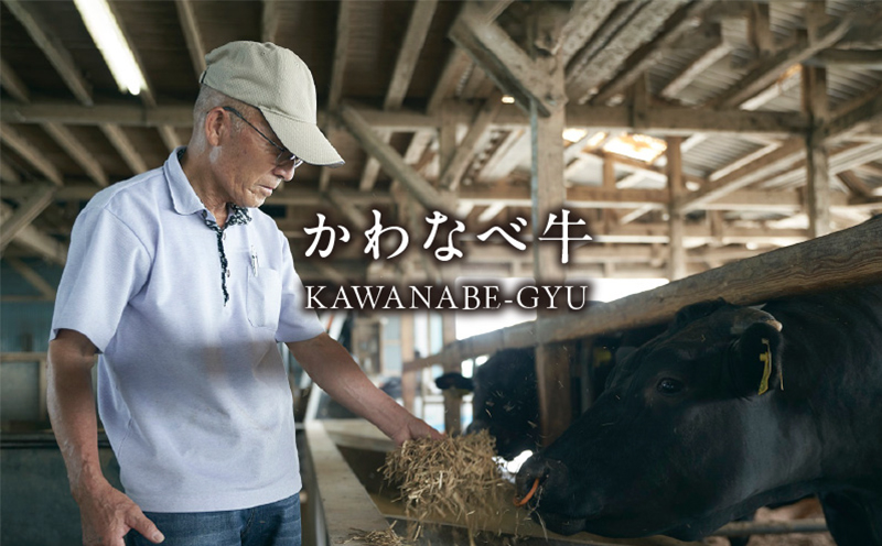 023-18 A4ランク以上！かわなべ牛切り落とし500g