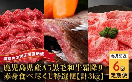 【全6回】鹿児島県産A5黒毛和牛霜降り・赤身食べ尽くし特選便3kg 027-95