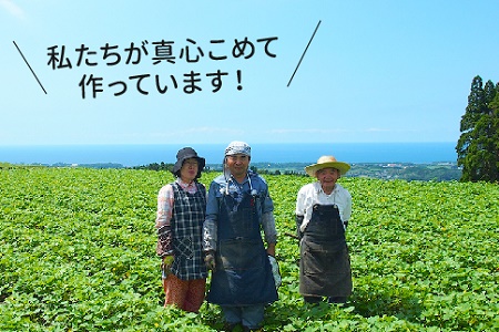 040-10 さつまいも「安納芋」3kg