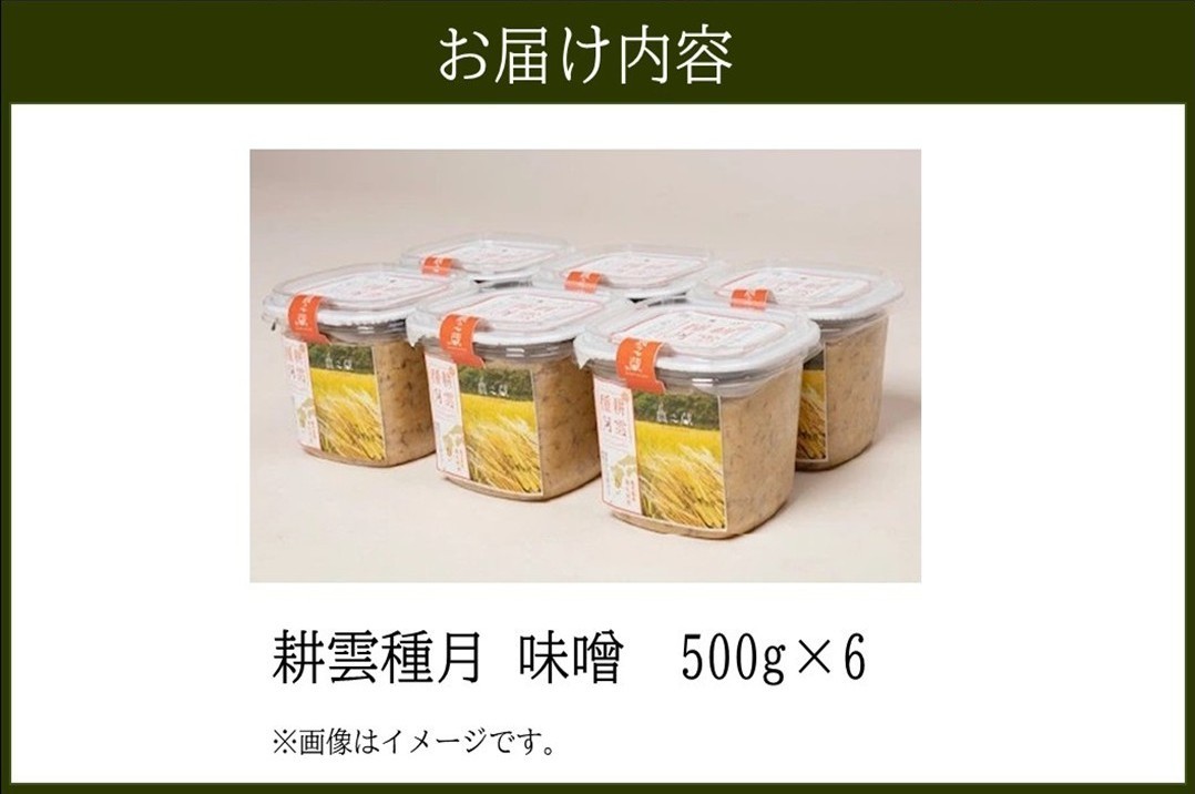 044-10 ヤマガミ「耕雲種月」味噌6個セット