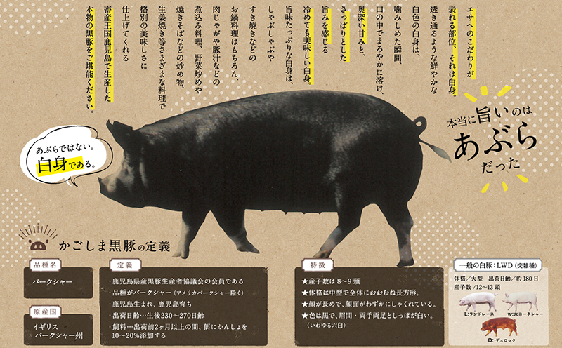 052-05 「かごしま黒豚さつま」デミグラスハンバーグ10個セット