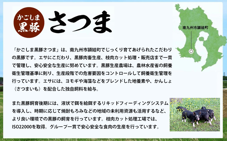 052-15 「かごしま黒豚さつま」バラエティセット