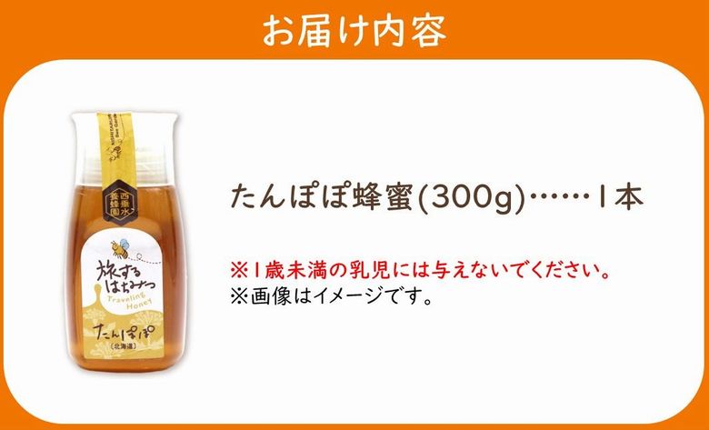 054-29 旅するはちみつ300g【たんぽぽ蜂蜜】