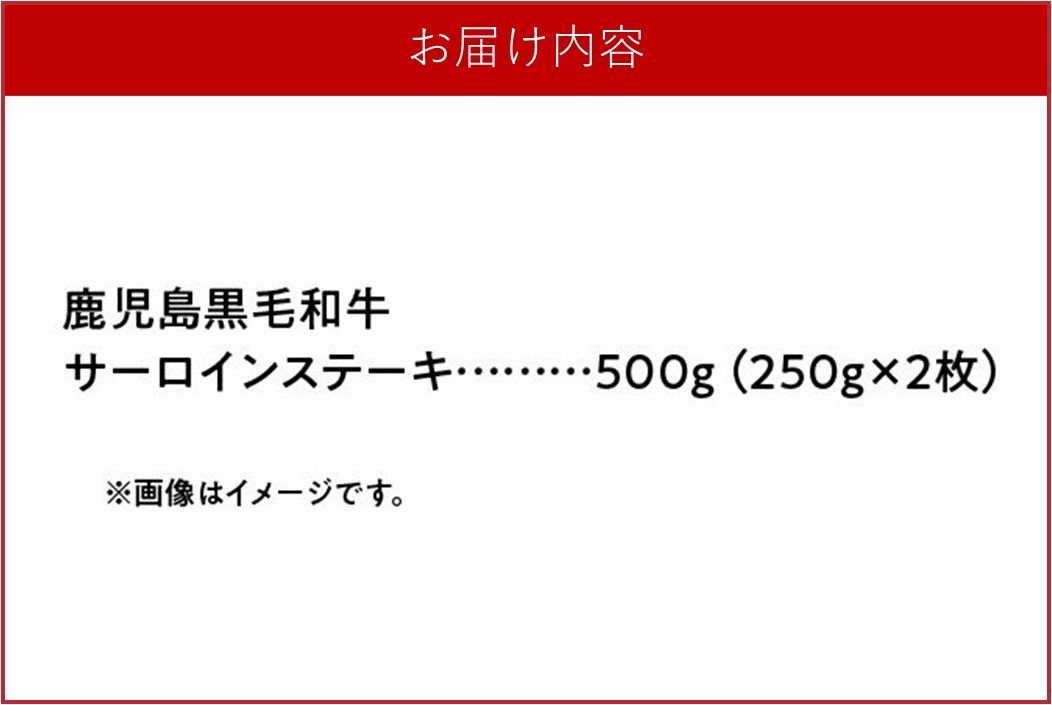 071-13 期間限定!鹿児島黒毛和牛サーロインステーキ250g×2枚