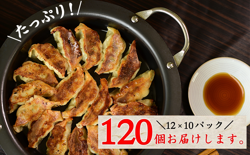 087-01 国産素材にこだわった鹿児島黒豚餃子120個