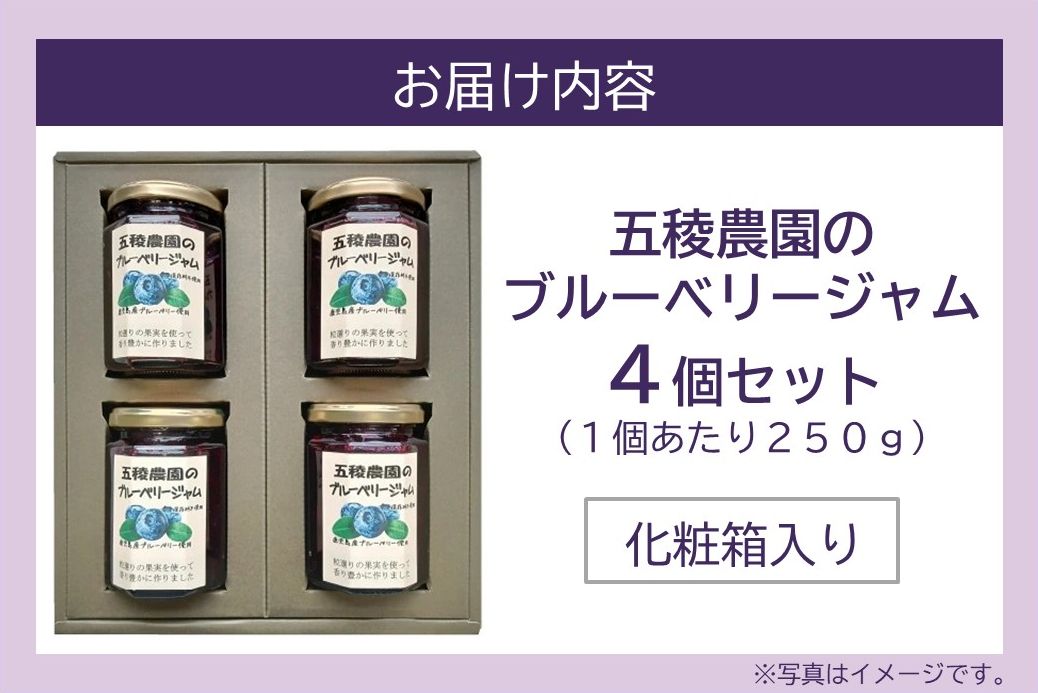 115-07 ブルーベリージャム 250g×4個