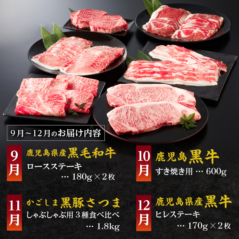 【全12回】特撰 黒の極み定期便 KURO-SP