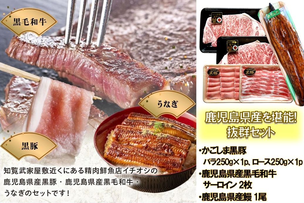 106-06 かごしま黒豚しゃぶしゃぶ用2パック・黒毛和牛サーロイン2枚・ウナギ1尾の抜群セット