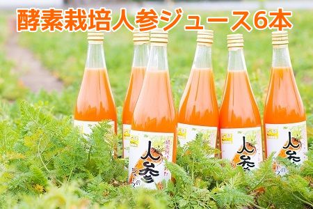 004-01 酵素栽培人参ジュース720ml×6本