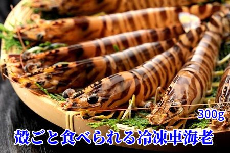 016-02 殻ごと食べられる冷凍車海老　300gパック
