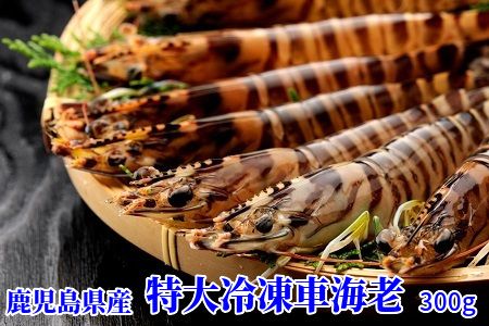 016-03 鹿児島県産特大冷凍車海老300g