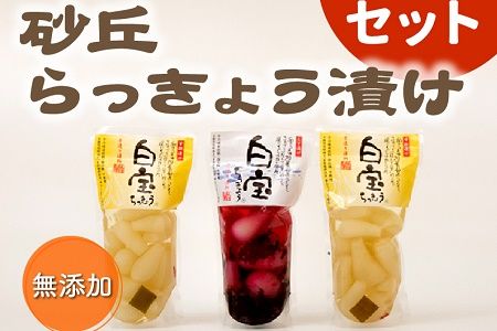 017-04 鹿児島県産砂丘らっきょう漬け大容量セット