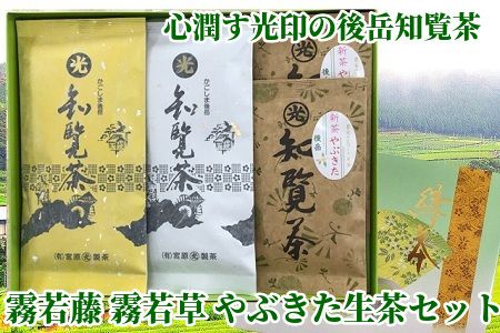 018-04 心潤す光印の後岳知覧茶「霧若藤」「霧若草」やぶきた生茶セット