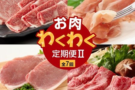 【全7回】お肉わくわく定期便Ⅱ 027-37