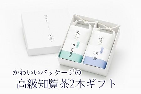 031-06 かわいいパッケージの高級知覧茶2本ギフト