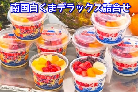 062-8-16 鹿児島名物 南国白くまDX詰合せ