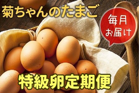 【全12回】毎月お届け!菊ちゃんのたまご(特級卵)定期便 042-08