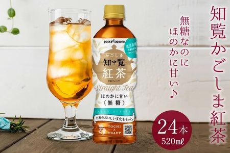 051-26 知覧かごしま紅茶 ペットボトル24本: 南九州市ANAのふるさと納税