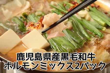052-16 鹿児島県産黒毛和牛ホルモンミックス2パック